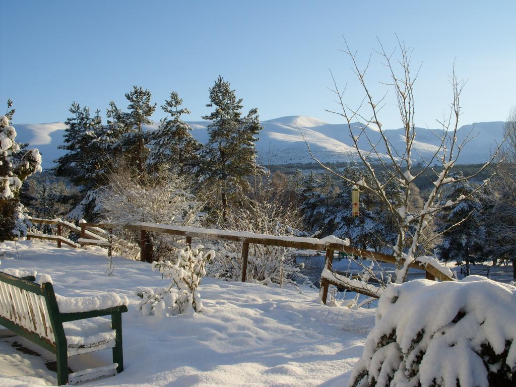 Cairngorm Lodge Youth Hostel Loch Morlich Buitenkant foto