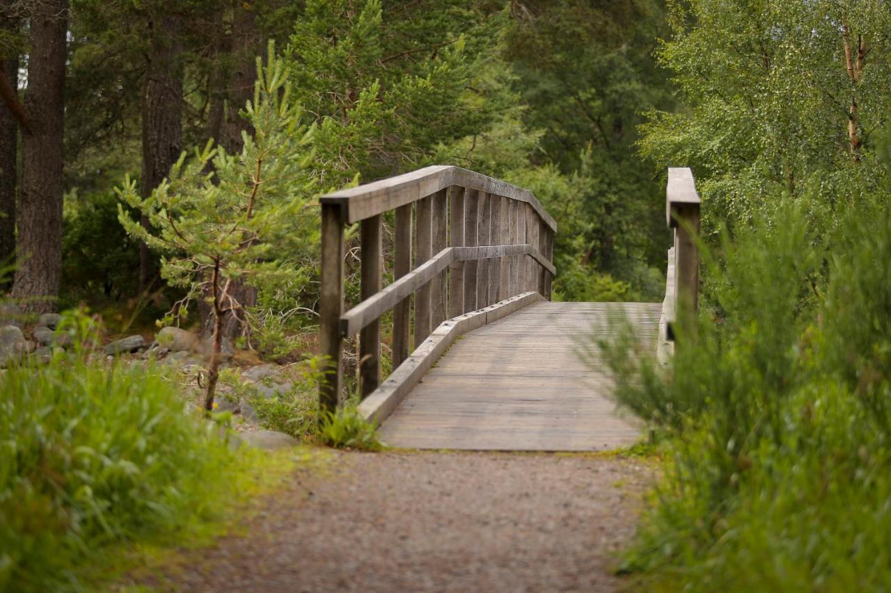 Cairngorm Lodge Youth Hostel Loch Morlich Buitenkant foto