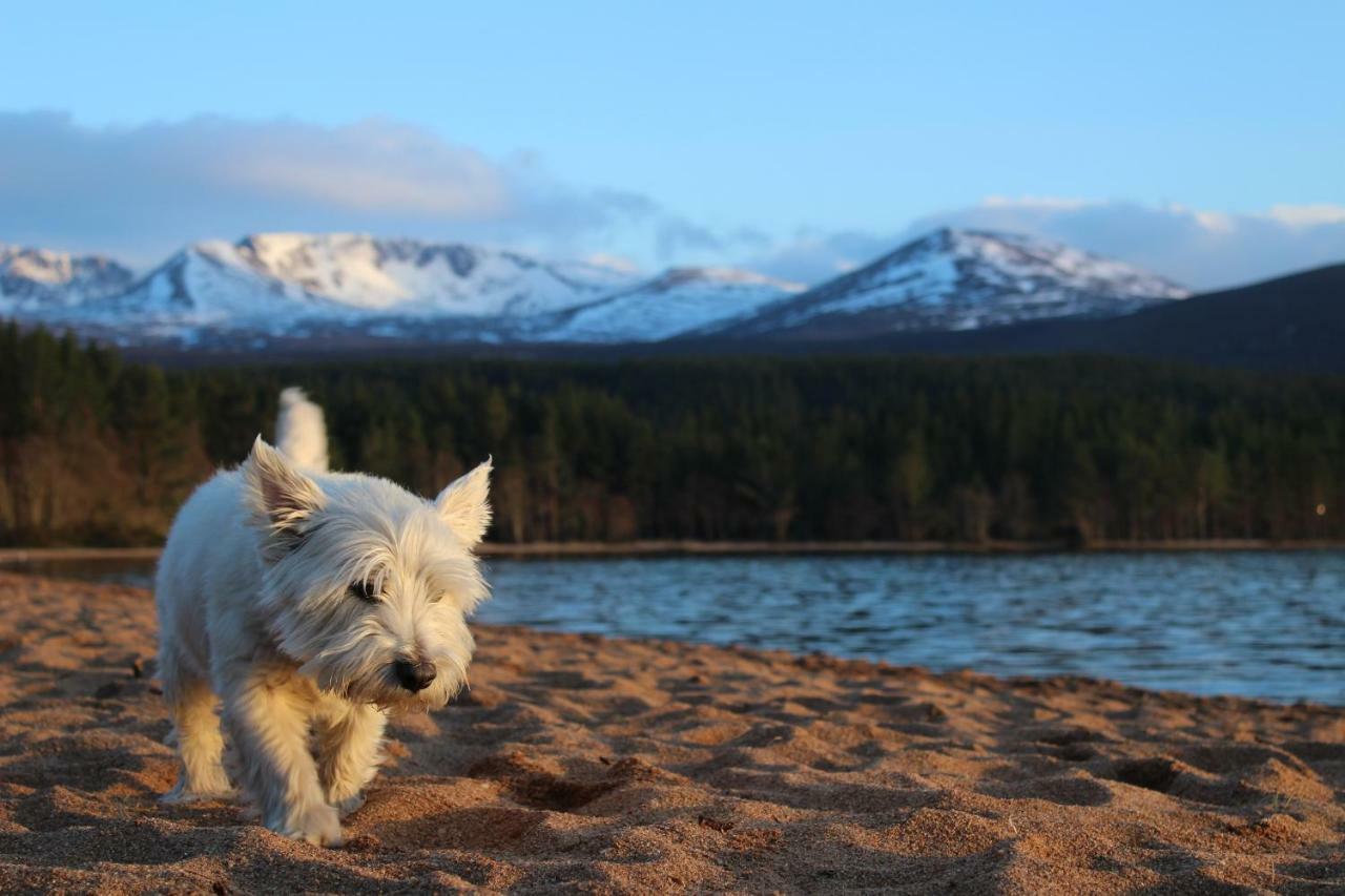 Cairngorm Lodge Youth Hostel Loch Morlich Buitenkant foto